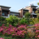 제주에코스위츠 이미지