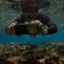 산호환경 이미지