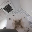 한일코지세상 | [하남입주청소] 청소헤븐 내돈내산 후기