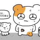 지베젤라 네이버블로그