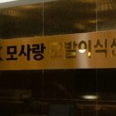 스타인헤어