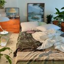 집의 기록 이미지