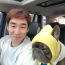 데이지패션