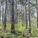 임곡초교 이미지