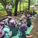 240828 소백산 숲학교- 바윗돌,돌맹이,모래알 이미지