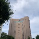 한강호텔 | 서울 강서 염창동 나이아가라호텔 가성비 한강뷰 호캉스 후기
