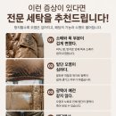 풍성한세탁 티스토리