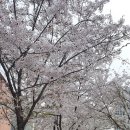 마산의신여자중학교 네이버블로그
