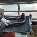 신성모터스 이미지