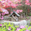 픽션하우스 이미지