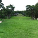 탈해왕릉 이미지