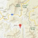 비둘기 펜션 이미지