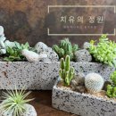 생활원예관리사 이미지