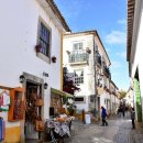 오비도스 이미지