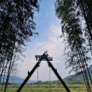 대나무숲길 이미지