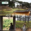 정수목장 | 충남 서산 가볼만한곳 유기방가옥 서산 수선화 축제 실시간 개화 입장료