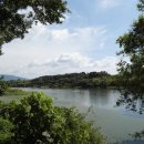 보성강5 이미지