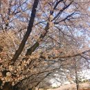 시청 앞 버스정류장 이미지