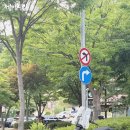 출퇴근 전기오토바이 일렉사 욜로 S01 후기! 전기스쿠터 욜로고 보조금 신청 안 하면 손해