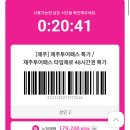 금무리농장 | 제주도여행 제주투어패스 타임제로48시간 사용후기 꿀팁+