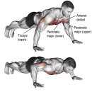 그레이트짐 이미지