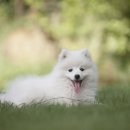 서하남로451번길 이미지