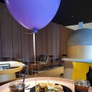 강아지와 여행 (소노<b>펫</b>홍천 포토<b>스팟</b>/띵킹독/애견동반식당/애견동반카페)