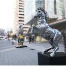 종로크라운 이미지