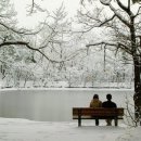 바보탱이 이미지