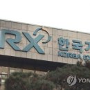 유한회사케이홀딩스