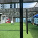 콩이랜드 이미지