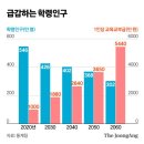 돈풍년 이미지