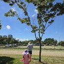 사촌해수욕장야영장 | 여수 웅천 해수욕장 웅천친수공원 도심 속 힐링 백사장·편의시설·캠핑 꿀팁