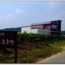 영천우리농장 이미지