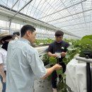 금산군농업기술센터 이미지