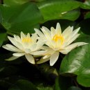 자연학습공원 이미지