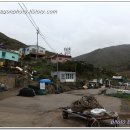 대항새바지 이미지