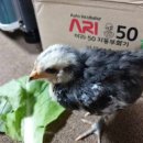 숲속청계농장 이미지