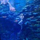 해양스크린골프연습장 이미지