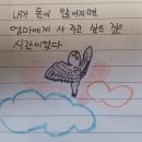 미아옹캣