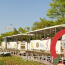 옐로우시티 이미지