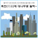 죽전(竹田) 대나무꽃 만발 스토리 이미지