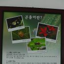 여주곤충박물관 이미지