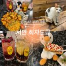 이자카야고양이 이미지