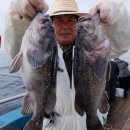 피싱랜드 이미지