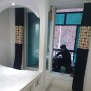 라고스테마 이미지