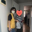 안양소나무적십자봉사회 &amp; 호현동봉사회 반찬 조리봉사 이미지