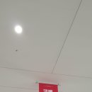 라라올라 이미지