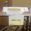 전남대학교 | 2026 전남대학교 경영학부 X 키크론 협찬 후기│대학교 대학생 협찬