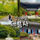 세계의 차문화 | 전남 해남 대흥사 후기 자연 속에서 힐링하기 좋은 절